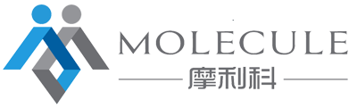 安徽瓦軸軸承有限公司